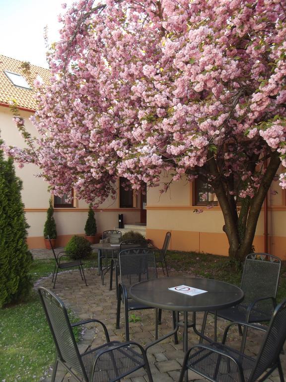 Pannon Hotel Bejelentkezes 20 Oraig, Check-In Until 20 O'Clock, Einchecken Bis 20 Uhr Mohács Extérieur photo